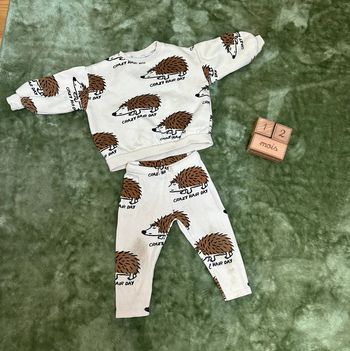 Ensemble Zara hérisson