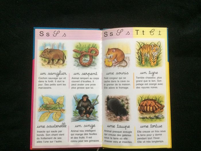 Livre animaux - photo numéro 3