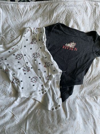 Lot 2 bodies 