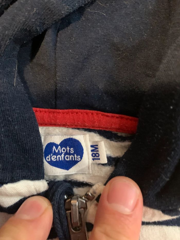 2 pulls 18 mois - photo numéro 3