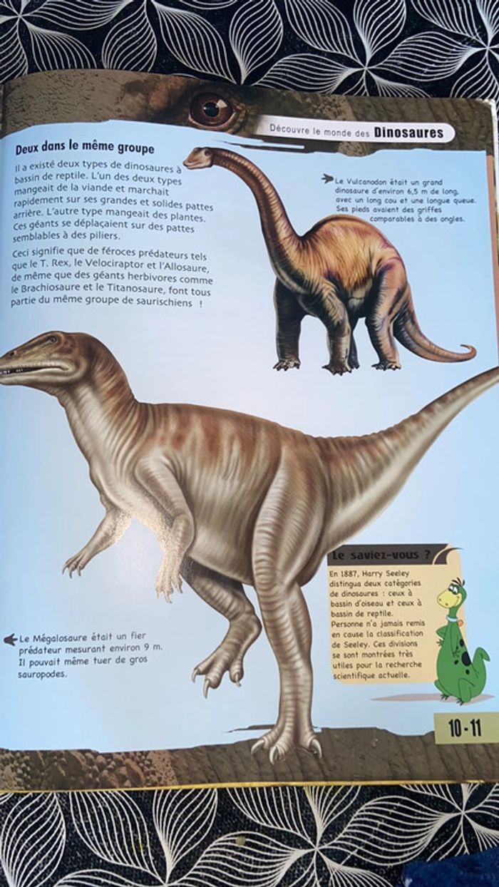 Livre Découvre les dinosaures - photo numéro 4