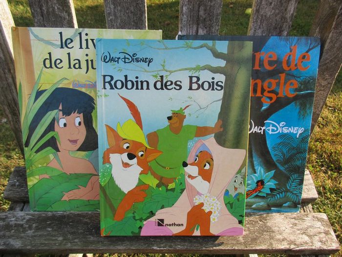 3 livres de 110 pages walt disney - photo numéro 3