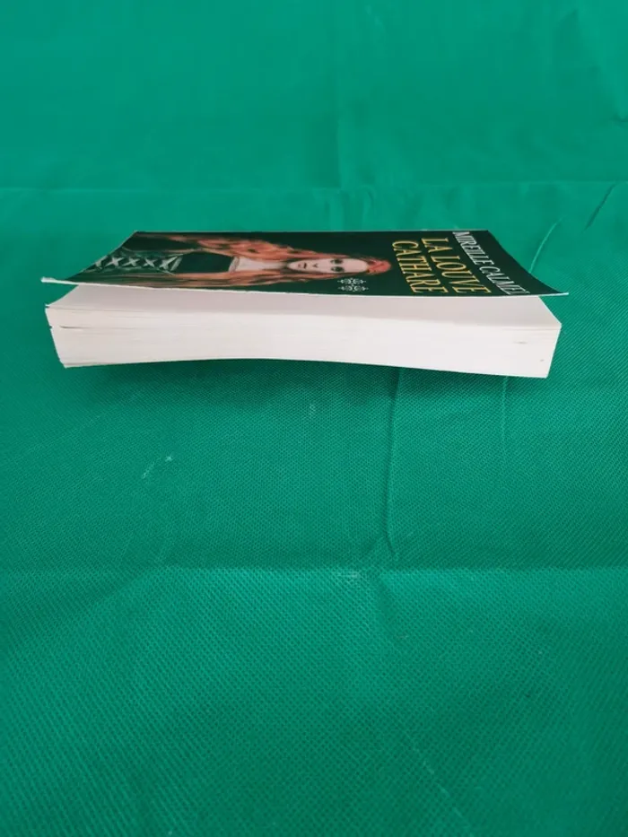La Louve Cathare Tome 2 Mireille Calmel - photo numéro 3
