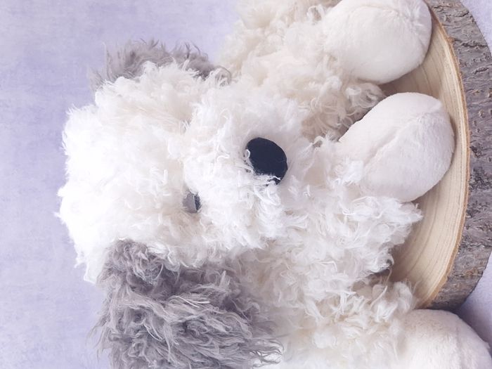 Peluche Jellycat chien de berger very cute Floofie Sheepdog pet - photo numéro 7