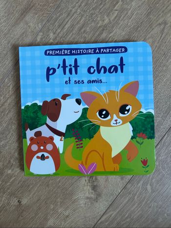 Livre P’tit chat et ses amis