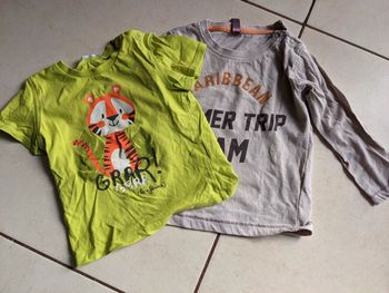 Lot de 2 t-shirt garçon 18 mois