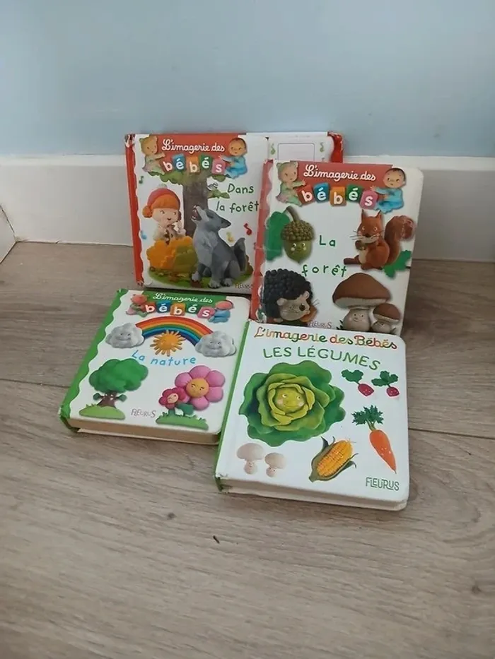 Lot livre premier age - photo numéro 5