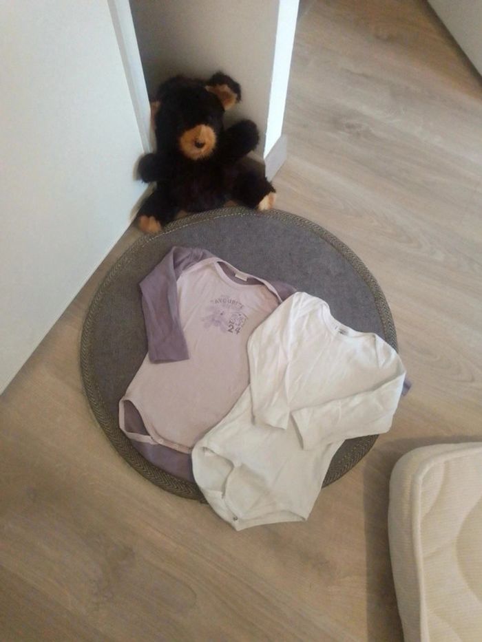 Lot 2 bodies 2 ans fille