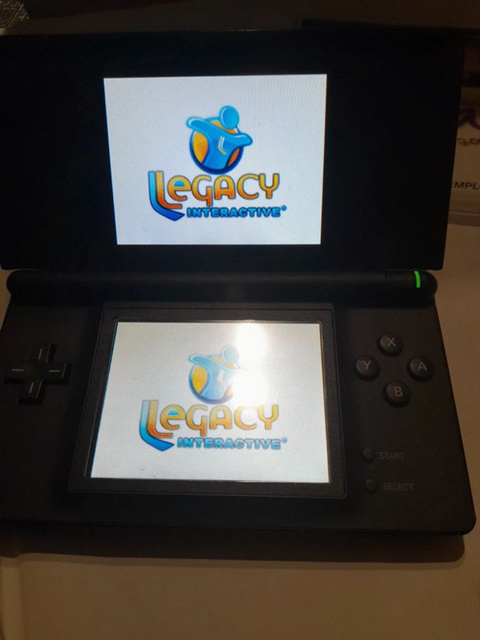 Mon ami le Panda et les animaux du zoo Nintendo DS - photo numéro 14
