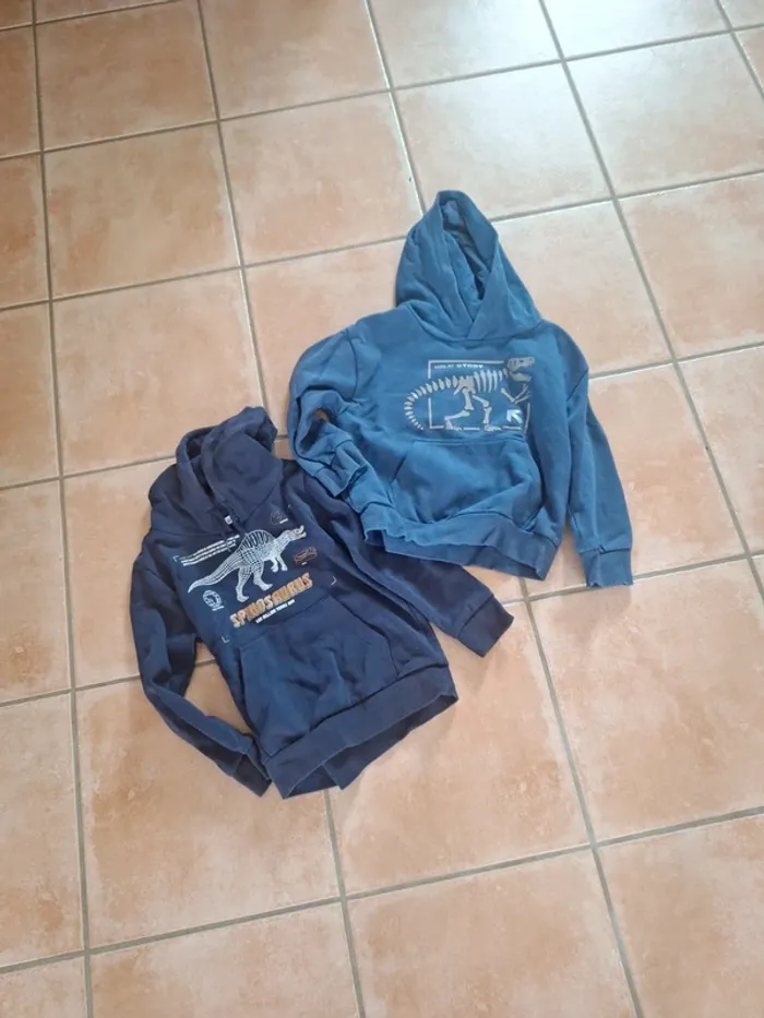 Sweat a capuche
