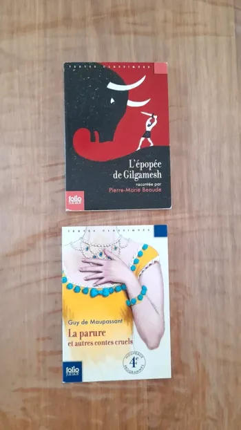 Lot 2 livres l'école des loisirs