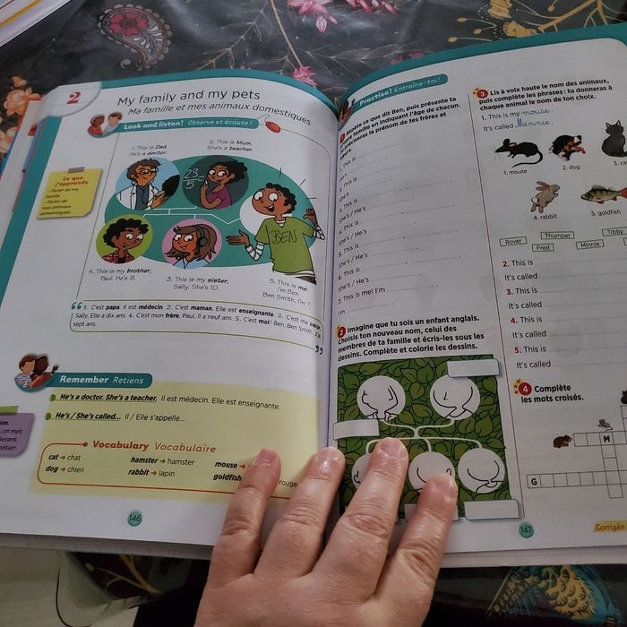 tout le programme CE1 collection Boscher neuf (8e) - photo numéro 6