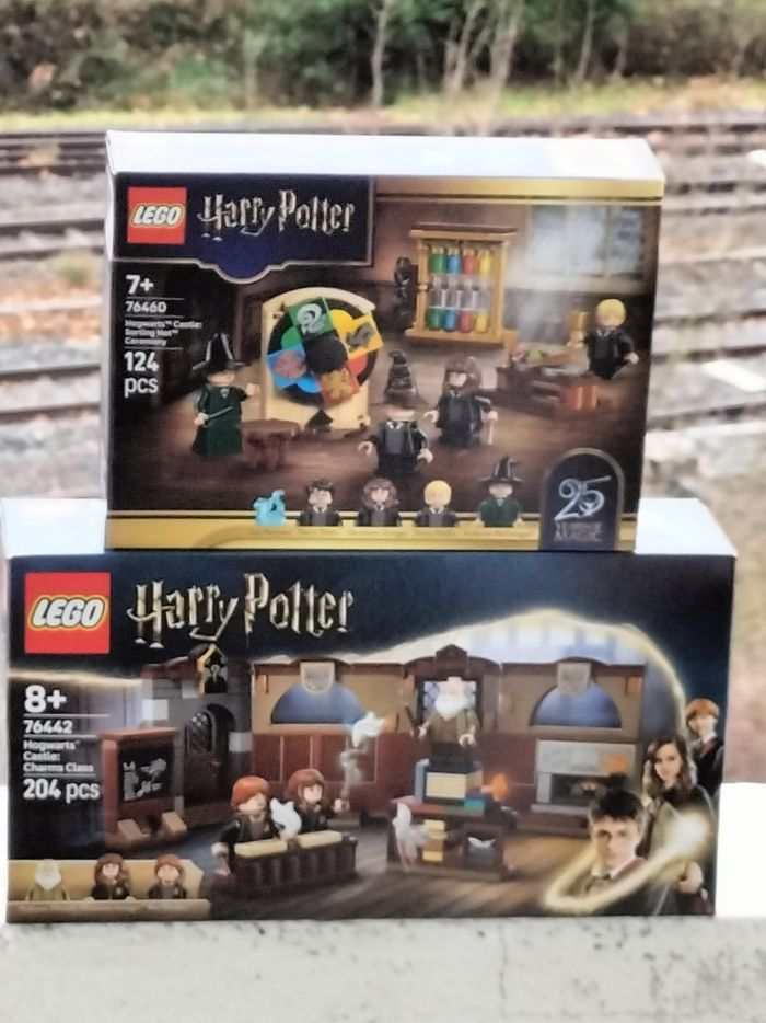 Lego Harry Potter le cours des sortilèges et la cérémonie du choixpeau magique