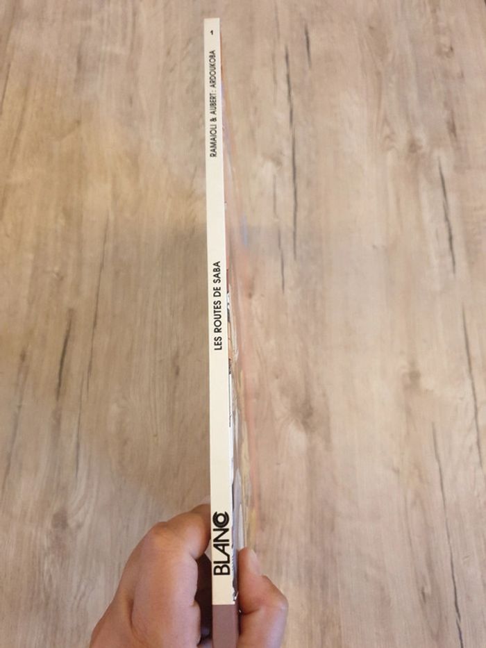 Bande dessinée Ardoukoba - photo numéro 2