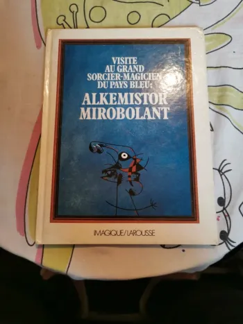 Livre visite au grand sorcier magicien du pays bleu alkemistor mirobolant