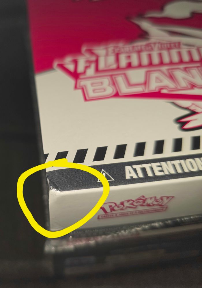 Pokémon ETB EV10.5 Flamme Blanche (Petit Choc) - photo numéro 7