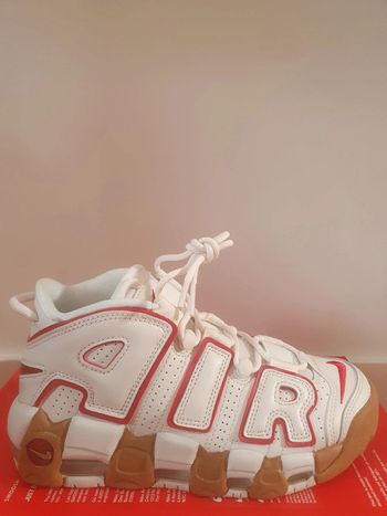 Nike Air More Uptempo (36)