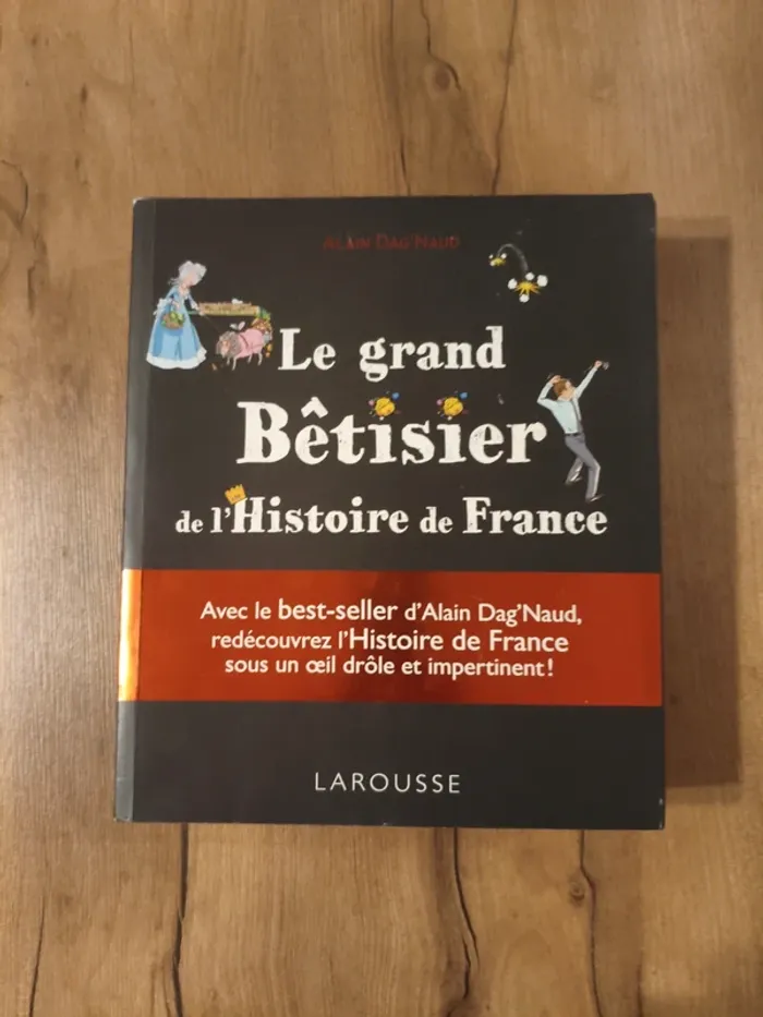 Le grand bêtisier de l' Histoire de France