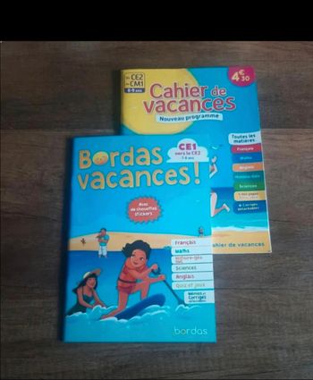 Lot de 2 cahiers d activités CE1 au CM1