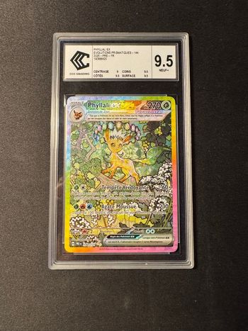 Phylali Ex Alternative CCC 9.5