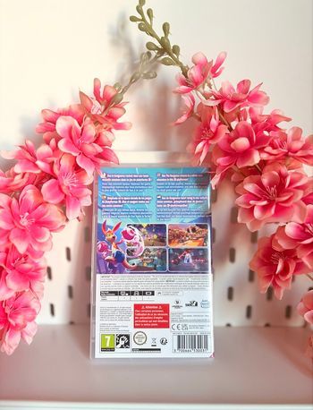 Jeux switch kao the kangoroo 