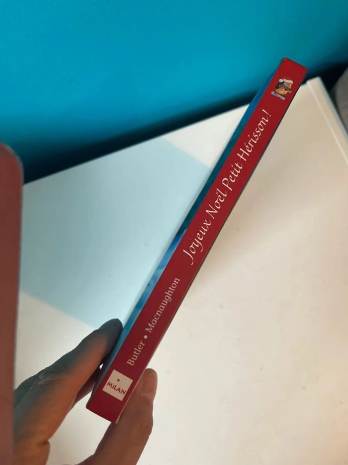 Livre scintillant joyeux Noël petit hérisson - photo numéro 2