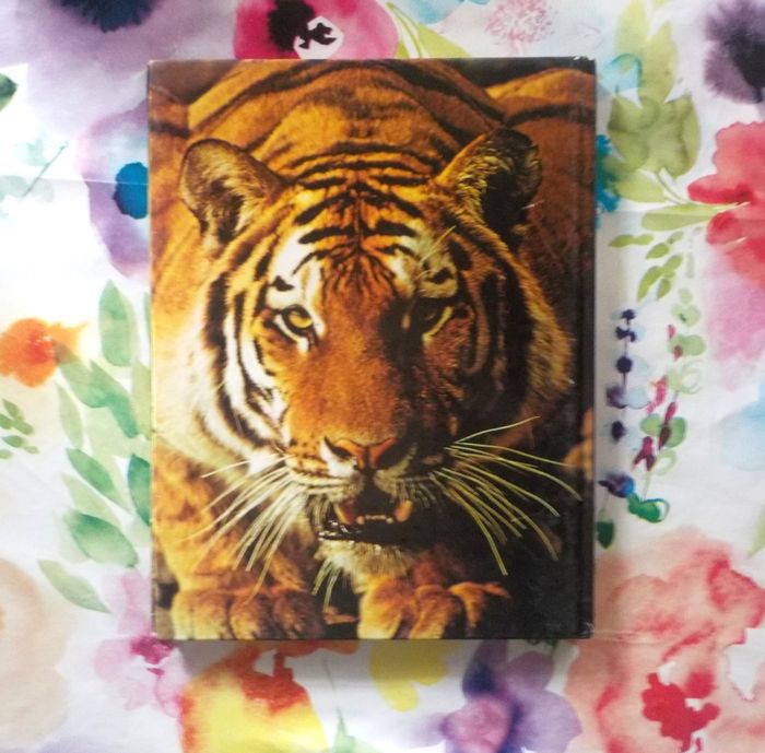 LES FELINS Panorama de la vie animale Ed. de l'Agora - photo numéro 2