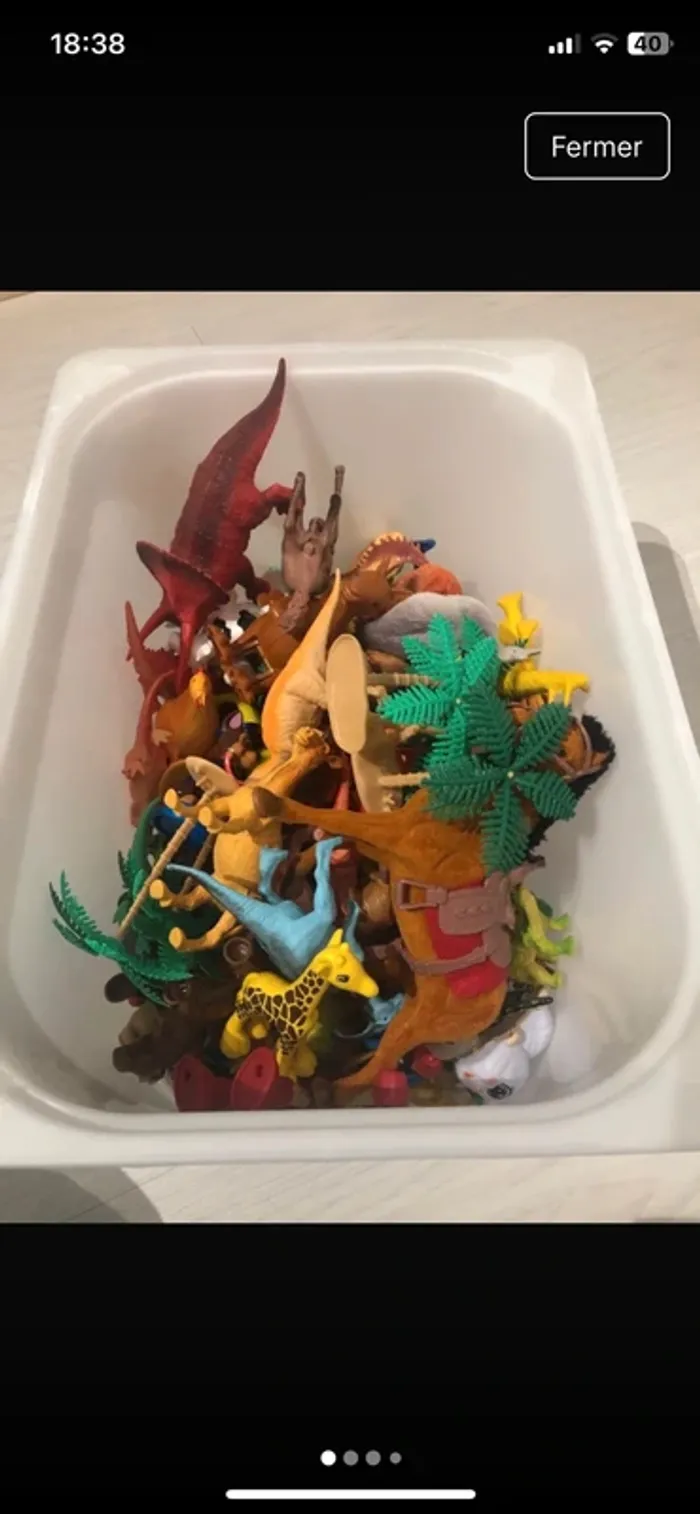 Animaux de la get et dinosaures - photo numéro 4