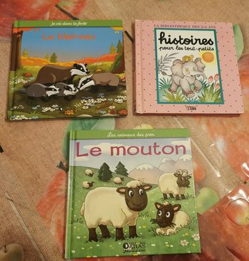 lot de 3 petits livres