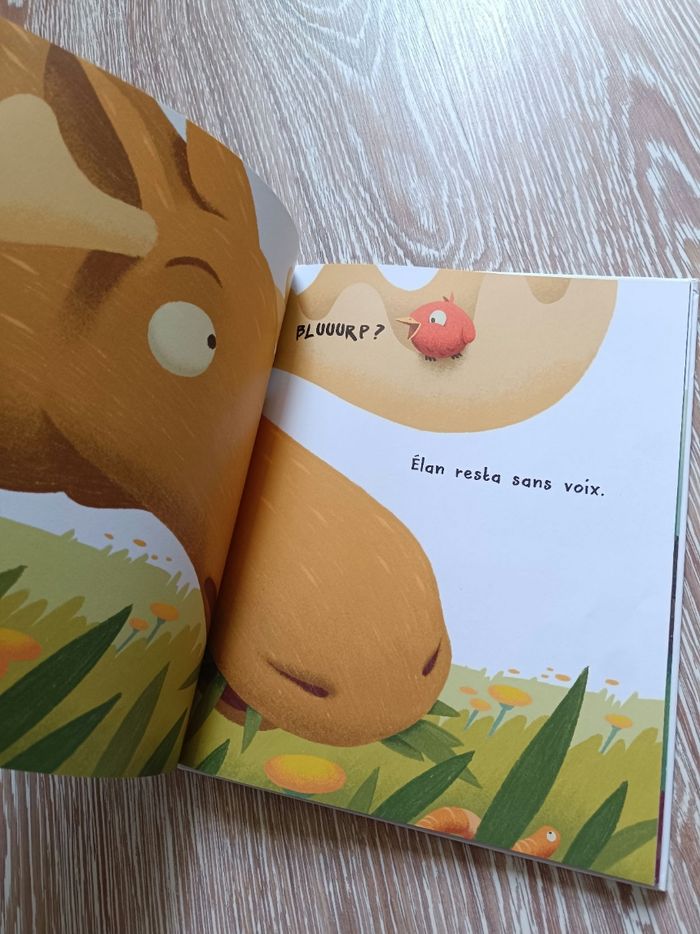 Livre petit oiseau gros mots - photo numéro 2