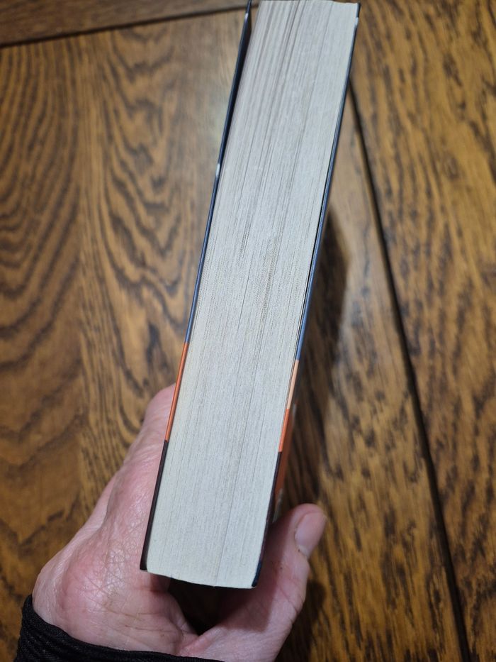 Le secret de la montagne noire (l'intégeale) de Michel Combes - photo numéro 7