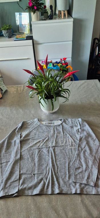 Tee-shirt creeks 10 ans