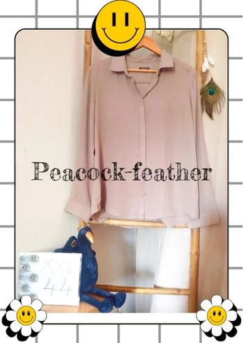Chemisier taupe transparent 44
