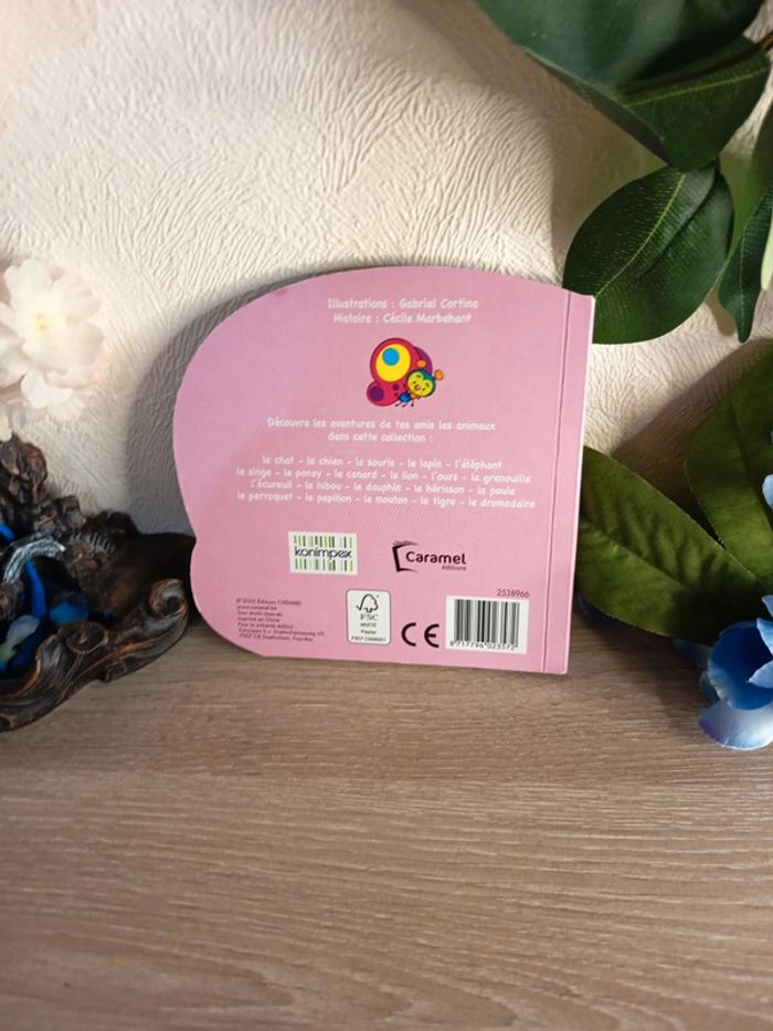 Pep le papillon 🦋 - photo numéro 3