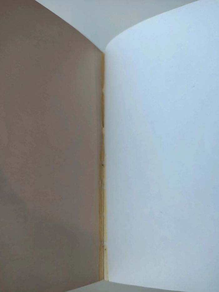 Livre dont vous êtes le héros n°620 épée de légende 1 les treize mages - photo numéro 7