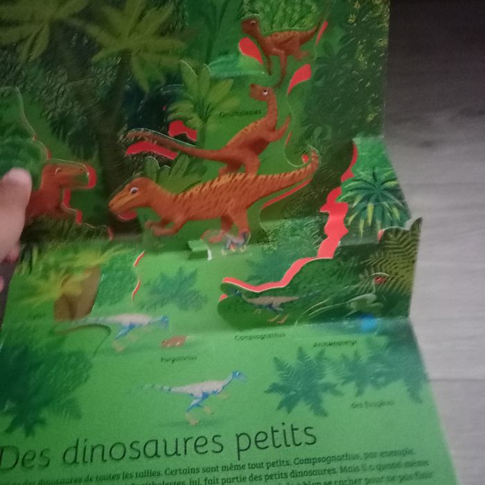 Livre en 3d - photo numéro 6