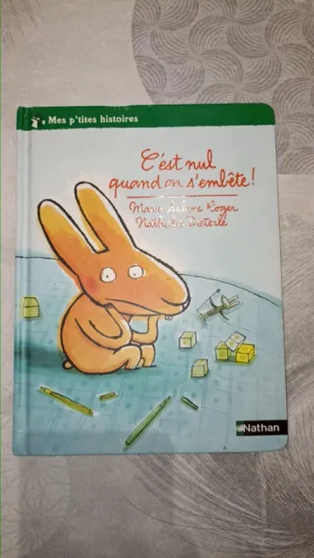 Livre c'est nul quand on s'embête Mes p'tites histoires
