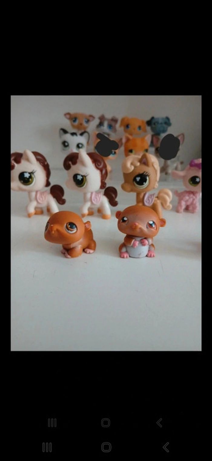 Littest petshop - photo numéro 4