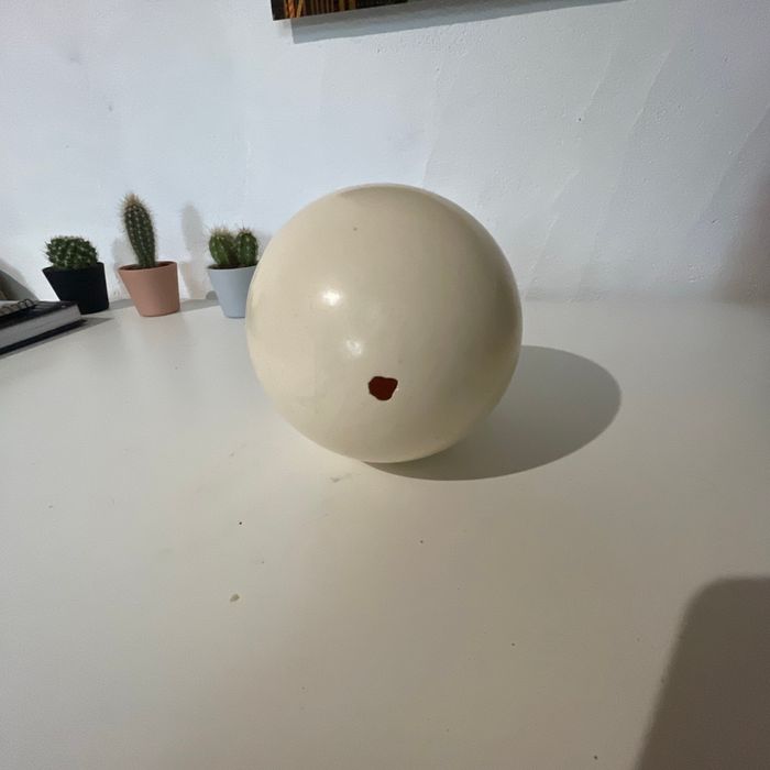 Œuf d’autruche - photo numéro 3