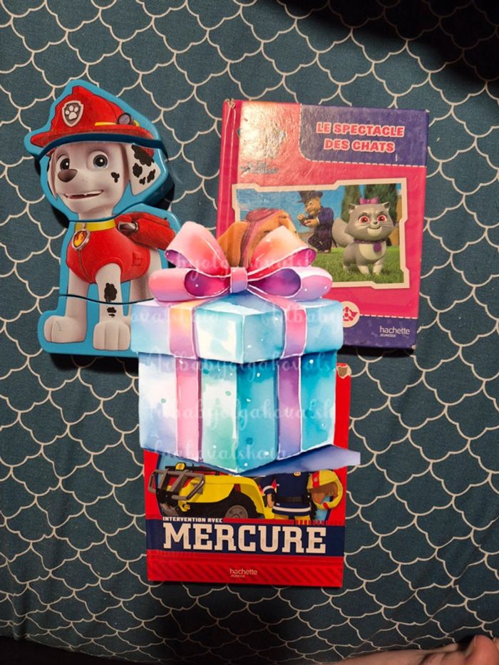 Livres + puzzle Pat patrouille/sam le pompier