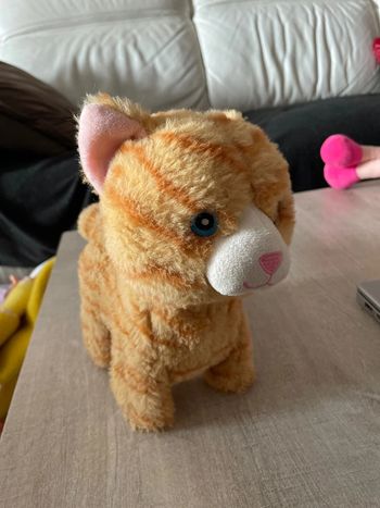 Chat qui miaule et qui avance tout seul