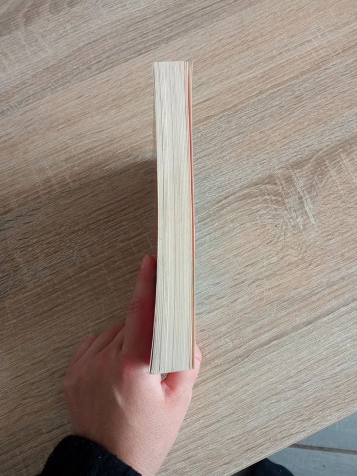 Se faire obéir sans crier - photo numéro 4