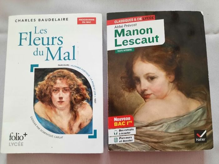 Lot 2 livres