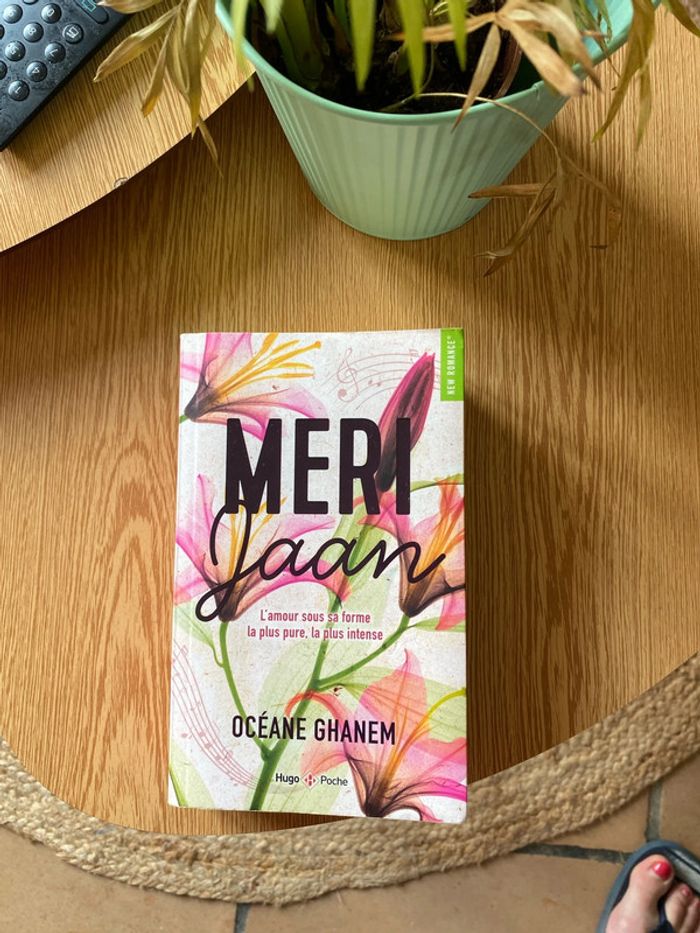 Livre meri jaan