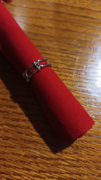 Bague en acier neuve