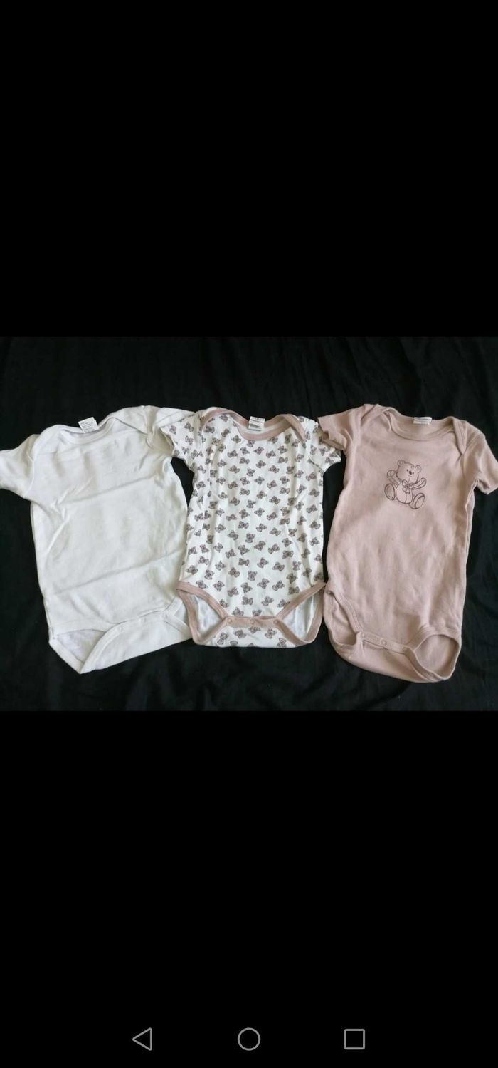 Lot de 3 bodies 12 mois