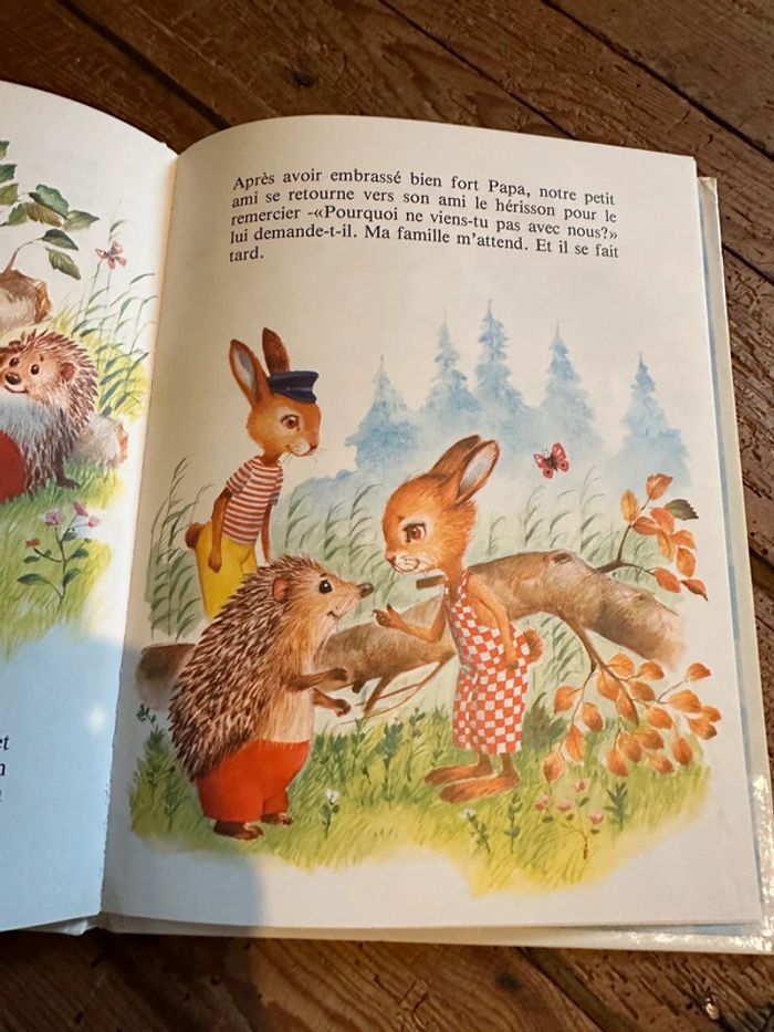 Livre ancien vintage Hemma La petite famille lapin collection petite famille cartonné - photo numéro 6