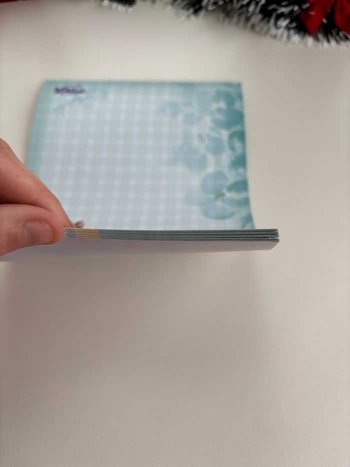 Fin de bloc diddl A5 - galupy - ancienne collection - vintage - années 2000 - photo numéro 2