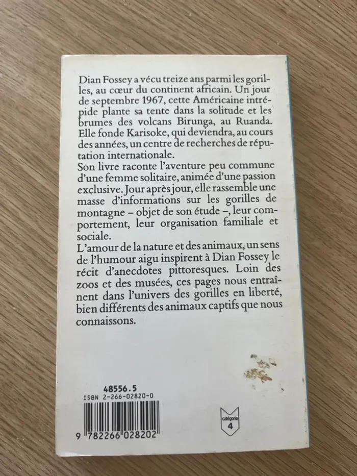 Gorilles dans la brume - photo numéro 3