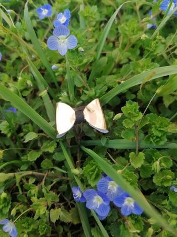 Pince bébé rose doré